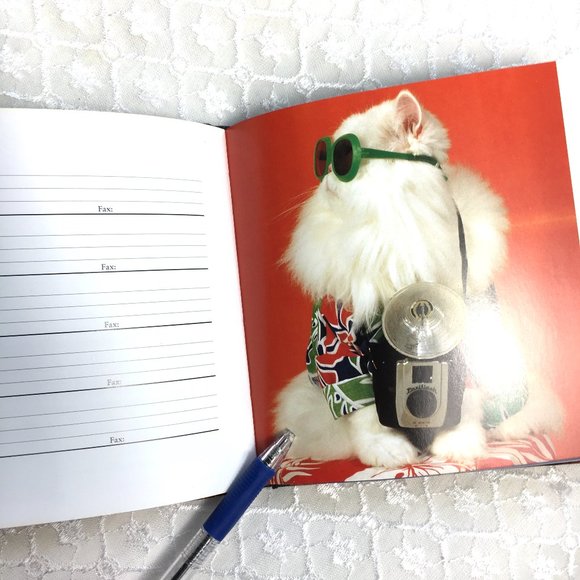 Address Book Cat Kitten Antics Vintage - Picture 5 of 8